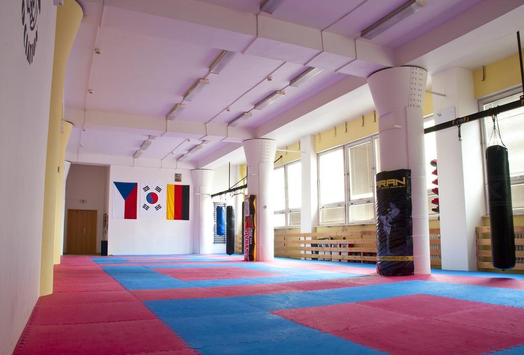 Martial Arts Sleepover Gym *
