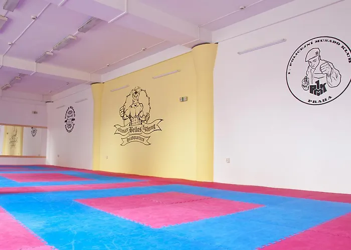Martial Arts Sleepover Gym